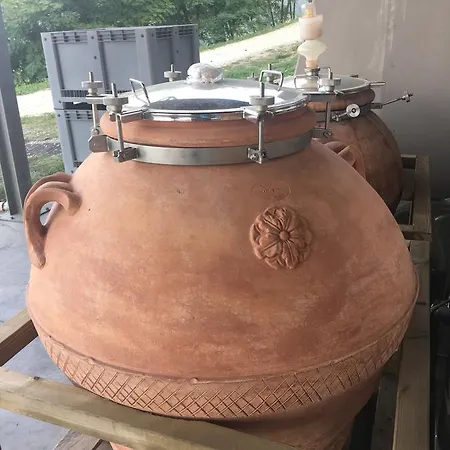 Agriturismo Rivetto Κατάλυμα σε φάρμα Sinio